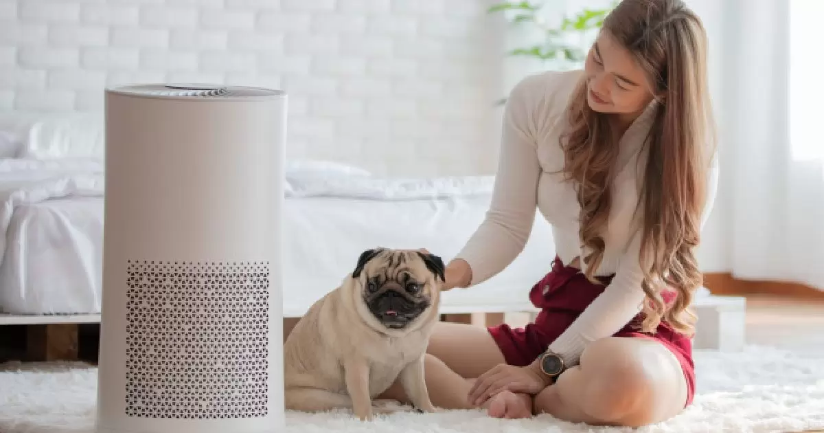 Are Infrared Heaters Safe for Pets