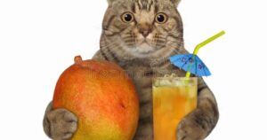 Can Cats Eat Mango?