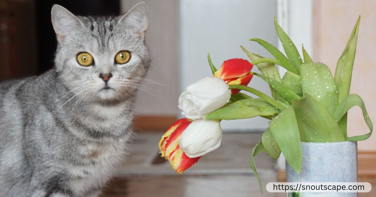 Are Tulips Toxic to Cats?