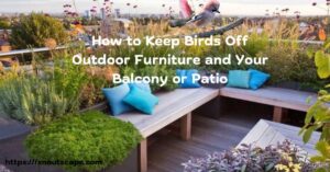 How to Keep Birds Off Outdoor Furniture and Your Balcony or Patio